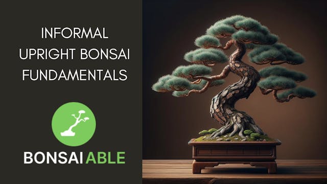 Informal Upright Bonsai Fundamentals